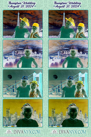 110782-strip