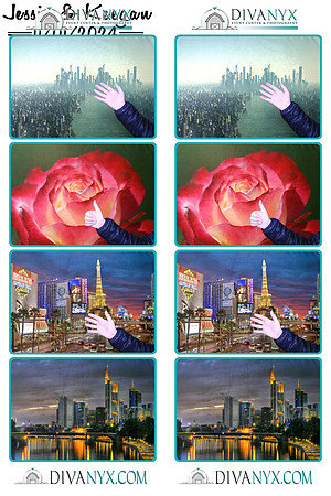 116203-strip