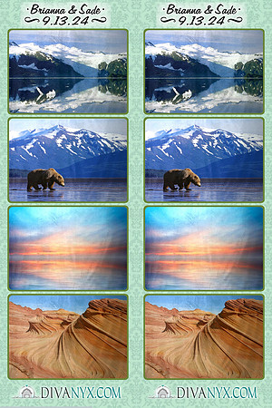 112650-strip