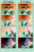 120141-strip