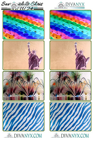 115131-strip