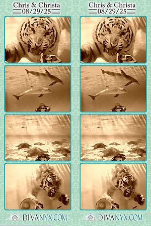 120822-strip