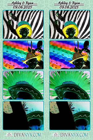 121337-strip