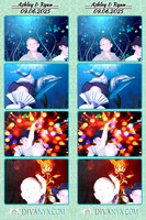 121341-strip
