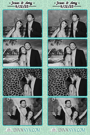 121603-strip