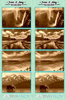 121598-strip