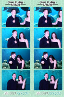 121634-strip