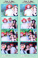 121660-strip