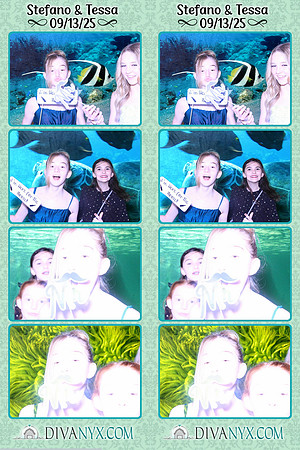 121860-strip