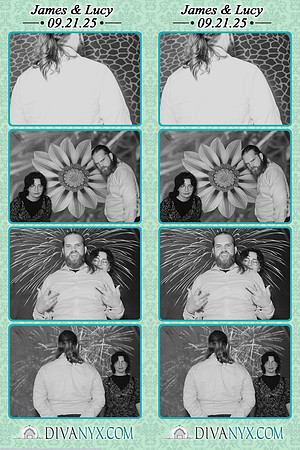 122240-strip