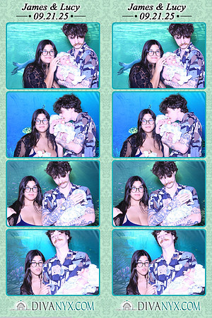 122273-strip