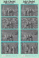 122751-strip
