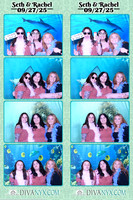 122769-strip