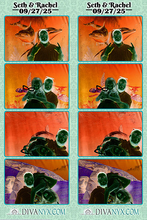 122799-strip