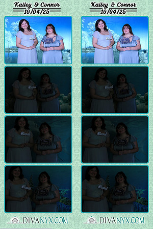 123463-strip