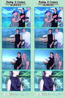 123487-strip