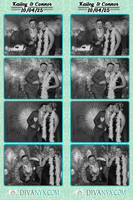 123507-strip