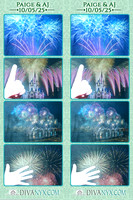 123585-strip