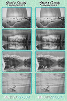 123736-strip
