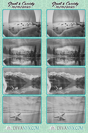 123736-strip