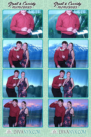 123762-strip