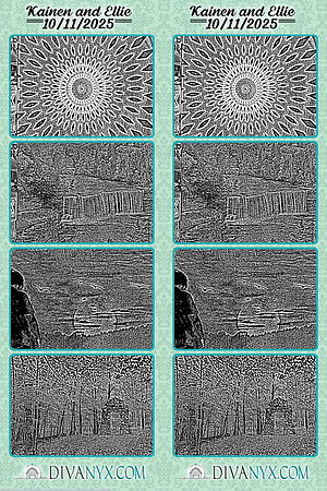 124199-strip