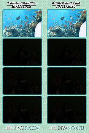 124233-strip