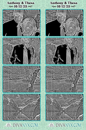 124432-strip