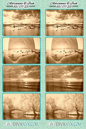 124899-strip