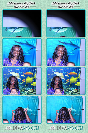124909-strip
