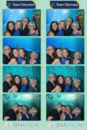 105793-strip