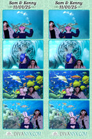 126294-strip
