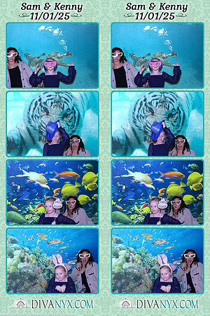 126294-strip