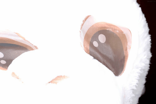 101079