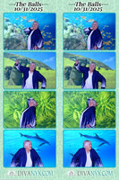 126022-strip