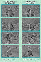 126018-strip