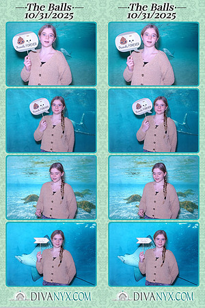 126062-strip