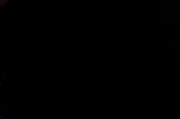 126005