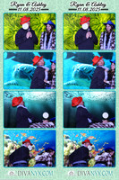 126536-strip