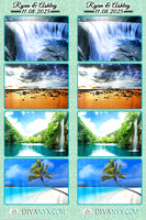 126576-strip
