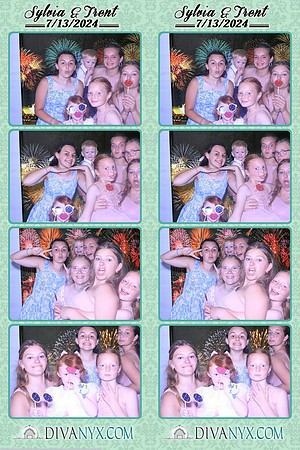 105684-strip