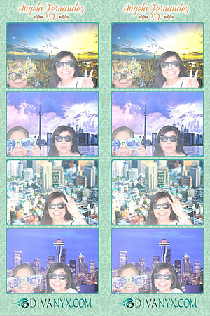 103946-strip