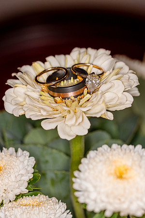 Ali & Jyles Wedding Photo - DVX20164_