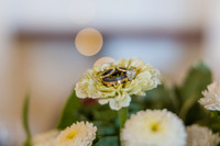 Alison&Jyles-274