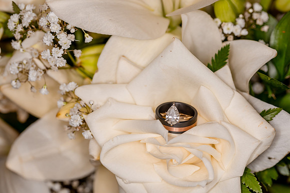 Ali & Jyles Wedding Photo - DVX20156_