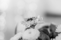 Alison&Jyles-275
