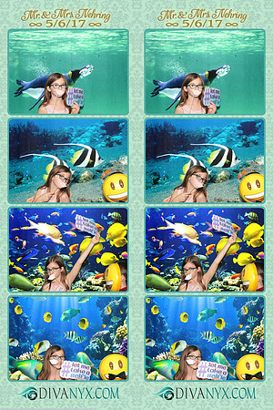 109293-strip