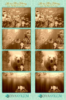 109345-strip