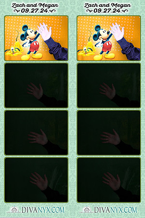 113980-strip