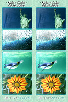 127272-strip